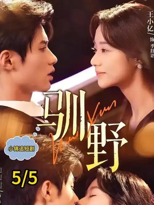 悬疑剧集十三号月台封面图